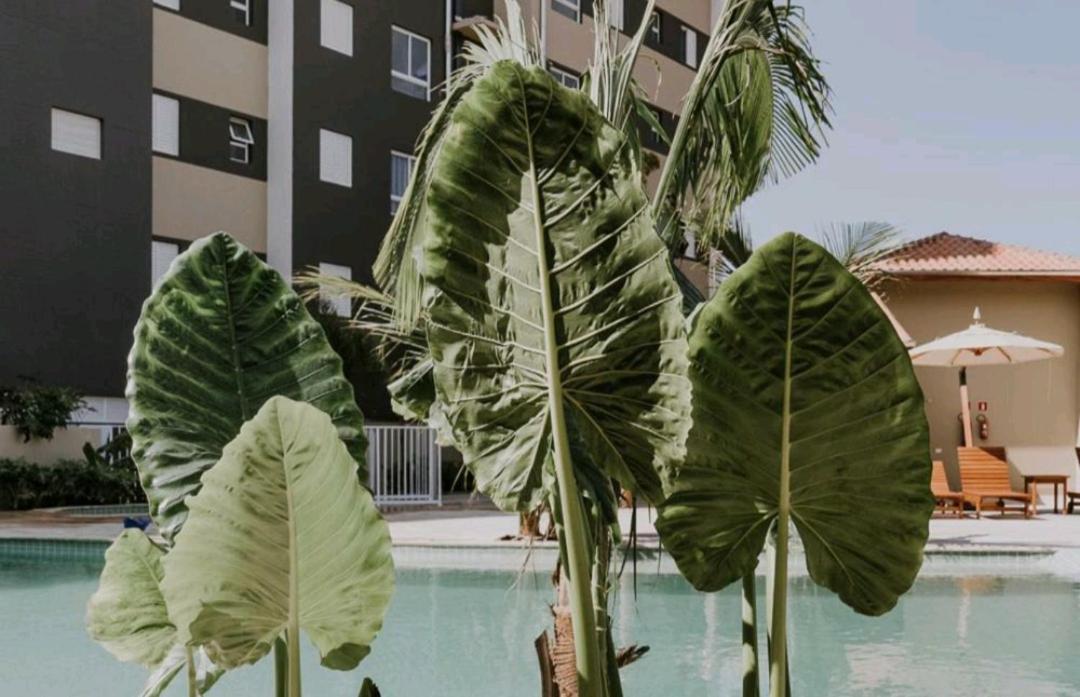 Jardim das Palmeiras II Home Resort Ubatuba Exterior foto